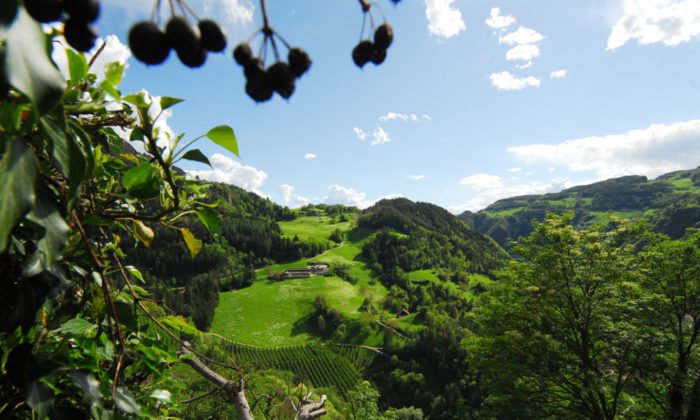 Ausblick vom Tonderhof