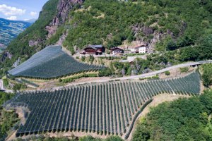 Tonderhof Castelrotto 1